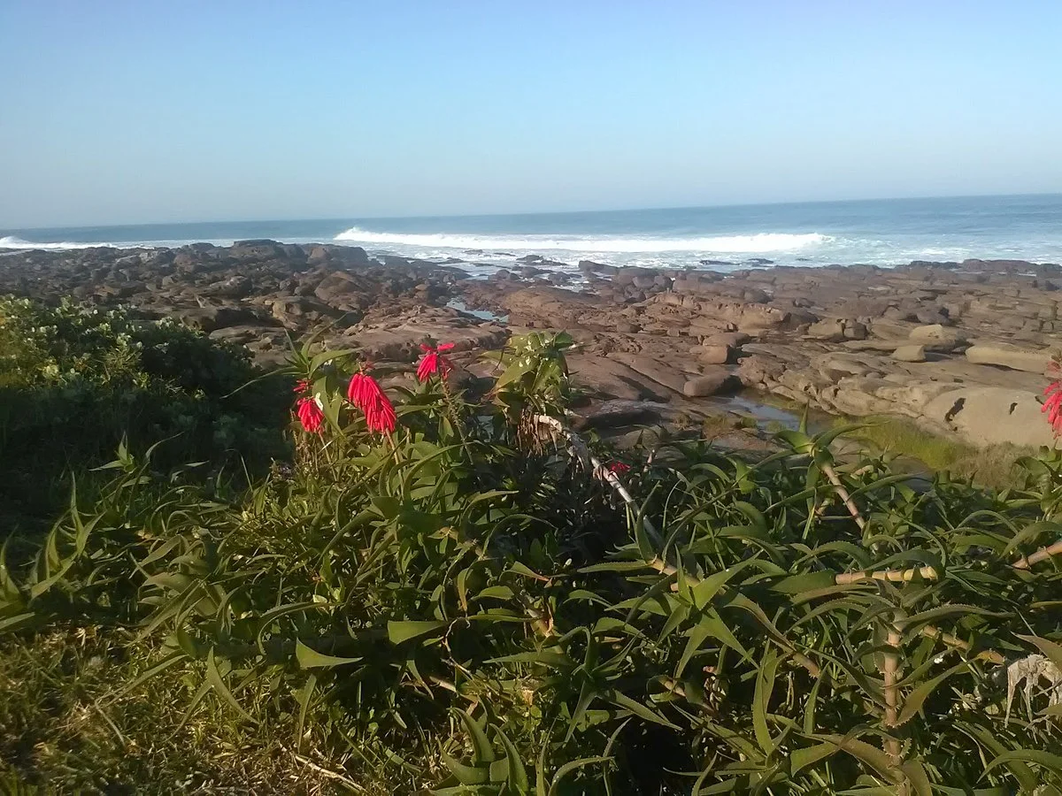 Kidds Beach