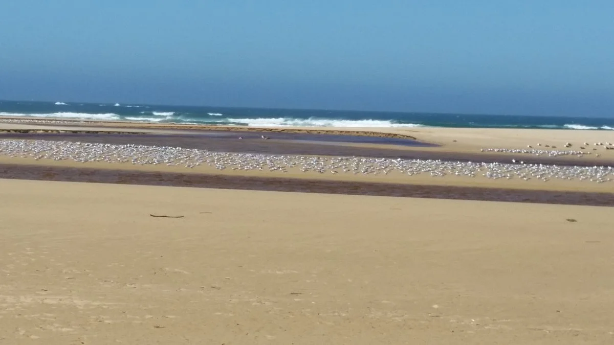 Goukamma Marine Protected Area