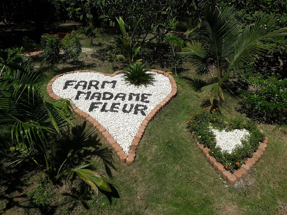 Farm Madame Fleur