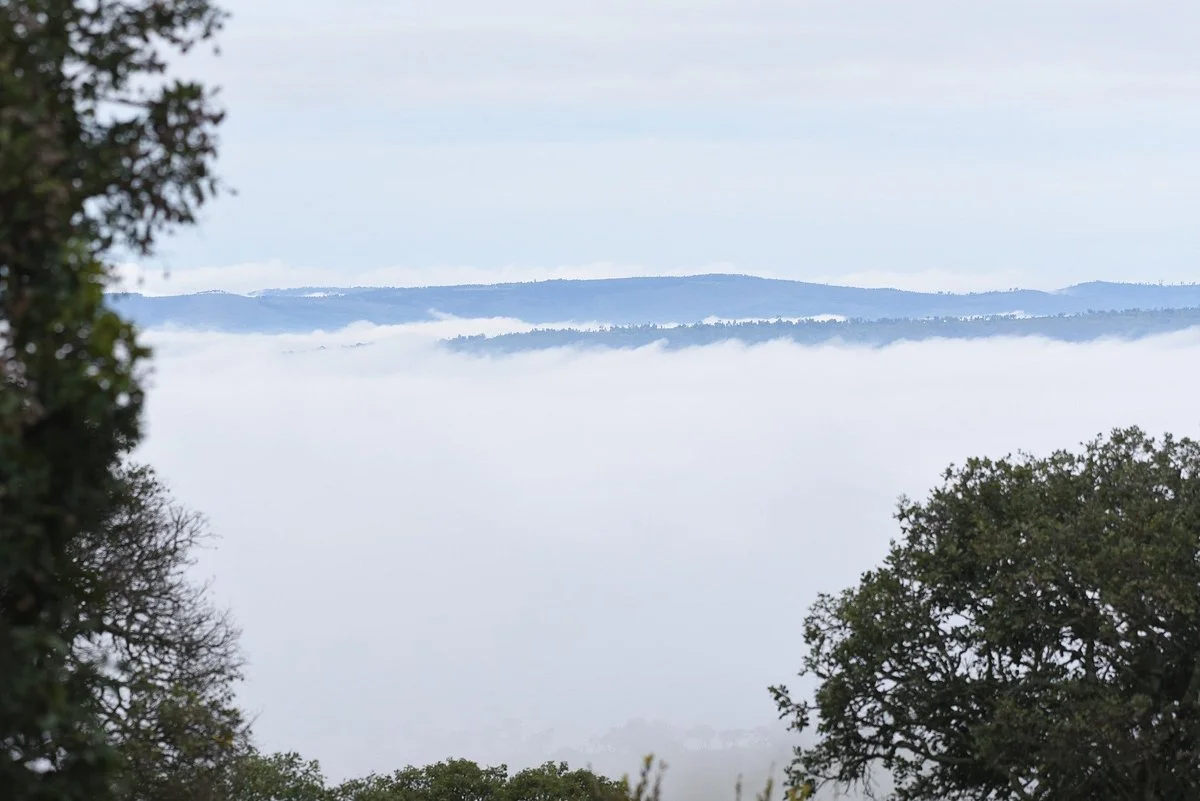 Parc National de la Ruvubu