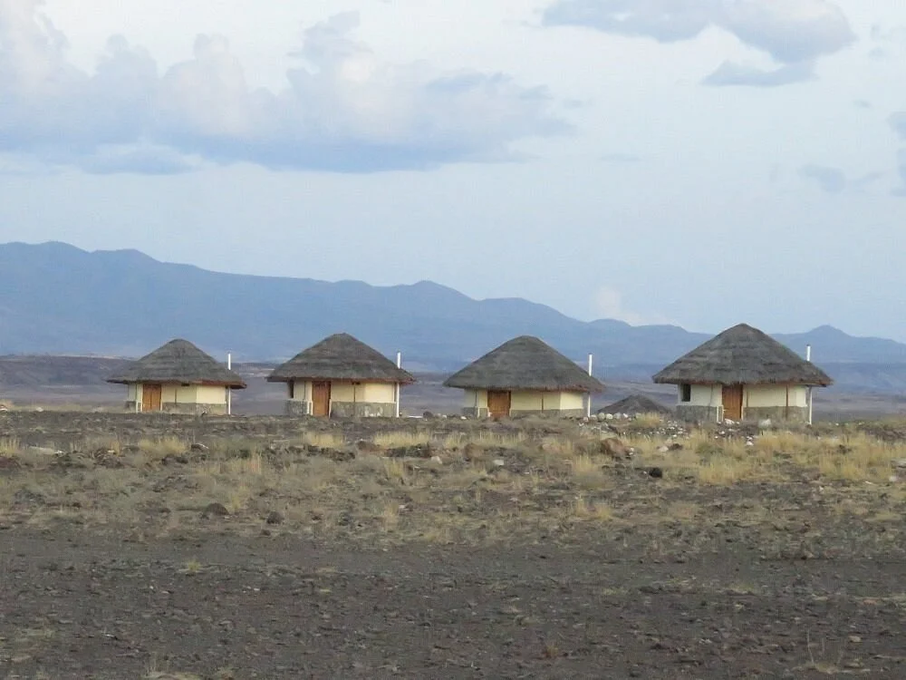 Desert Museum