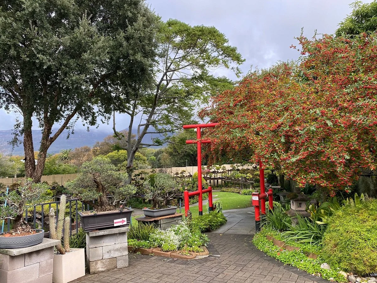 Bishopsford Bonsai Garden