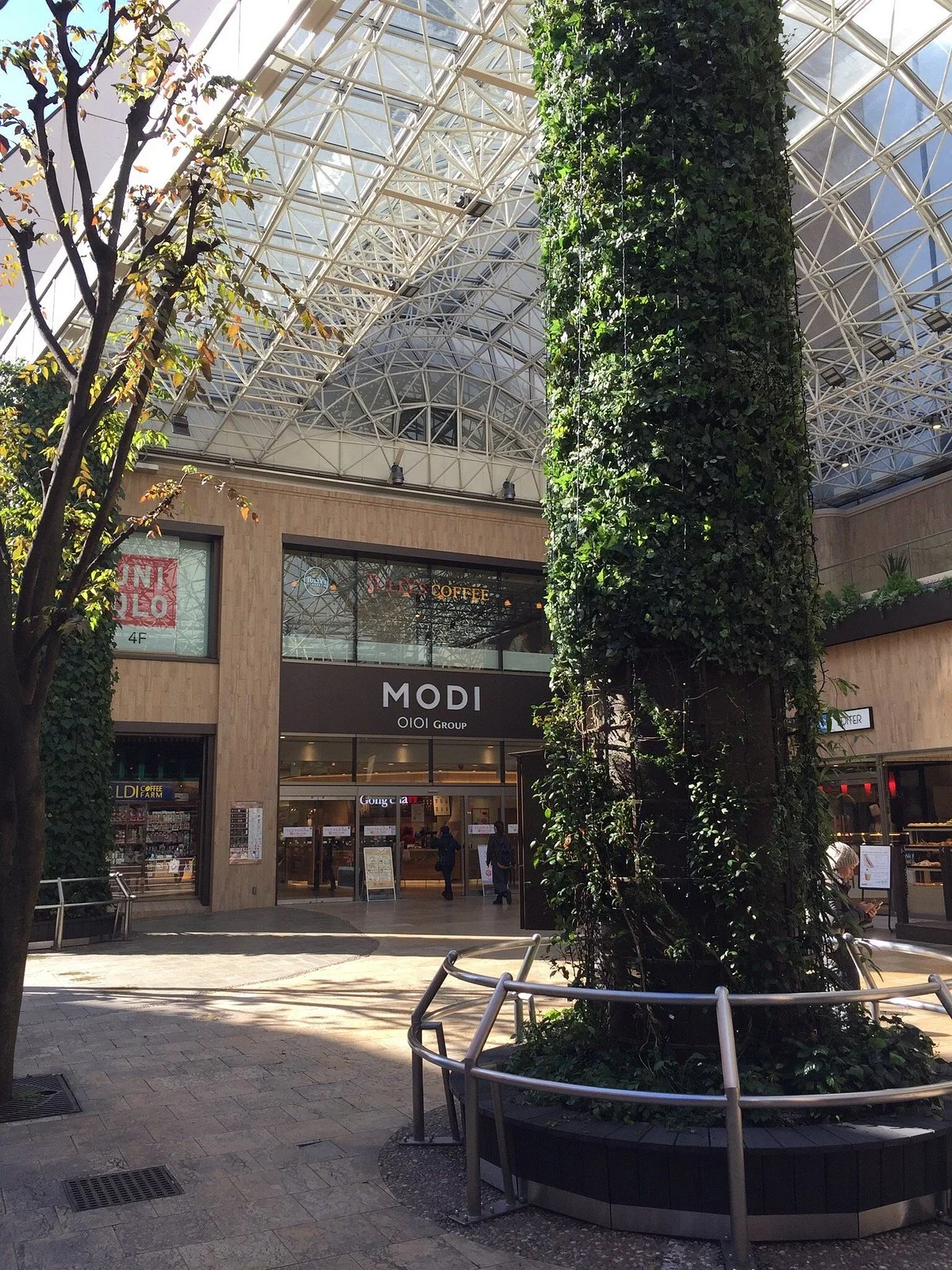 Kashiwa Mody