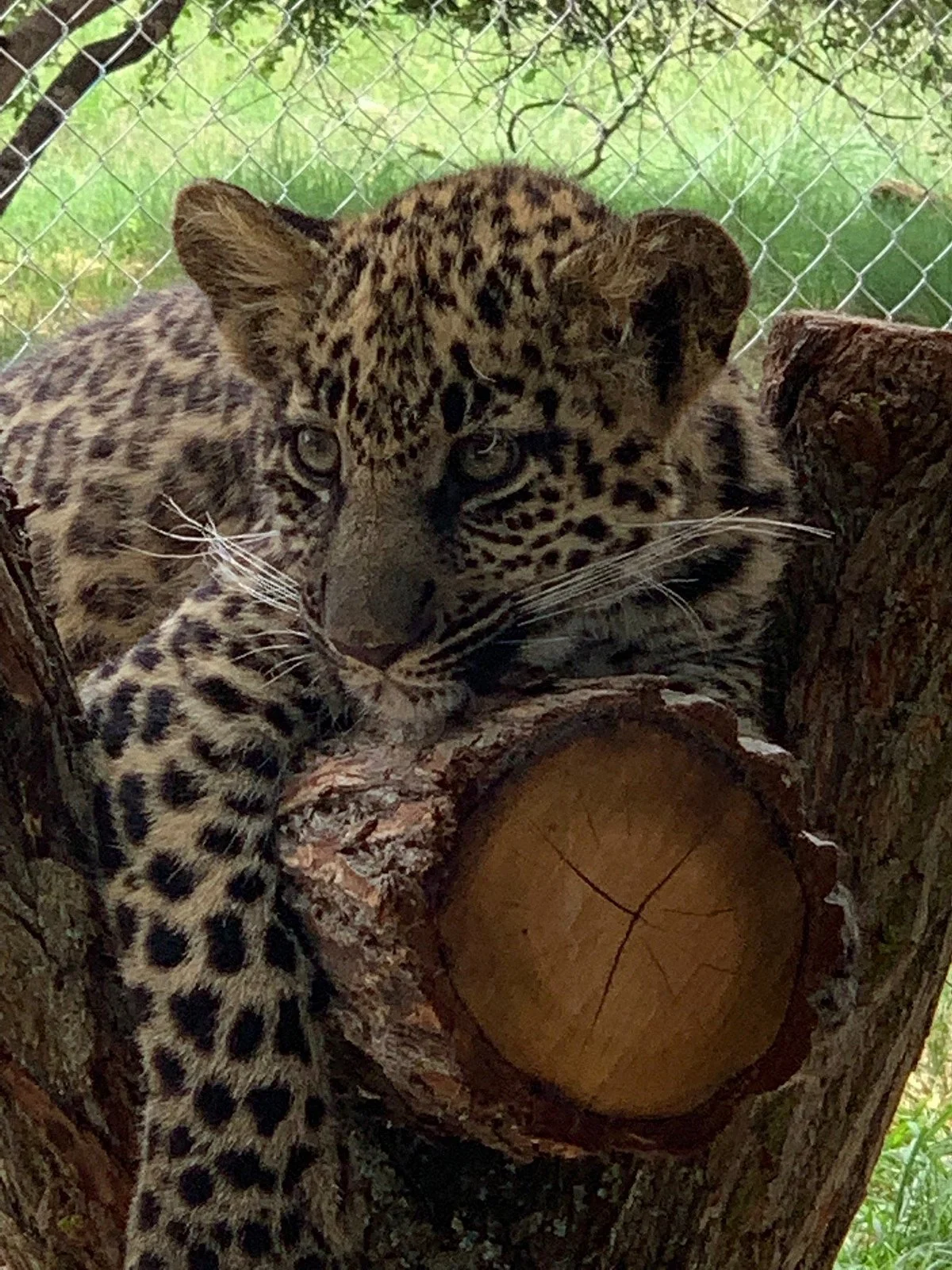 Eventieria Wildlife Park