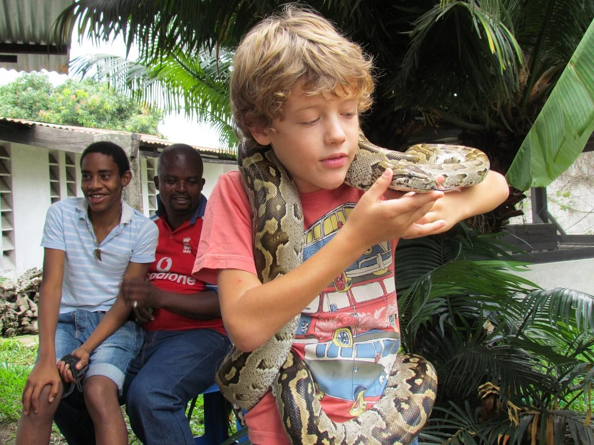 Serpents du Congo