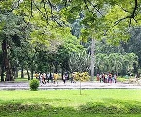 Jardin Botanique