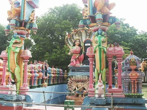 Jaffna Market