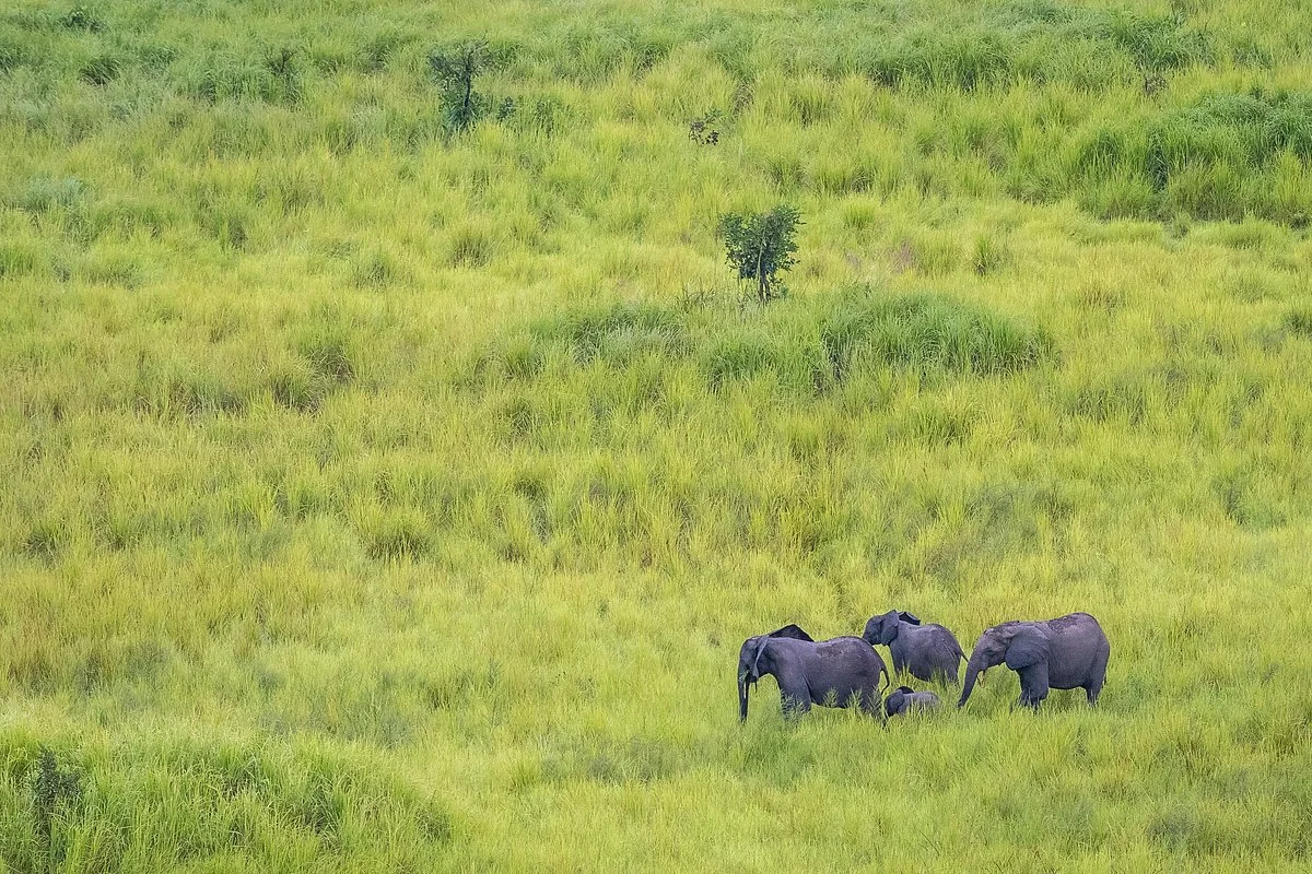 Garamba National Park