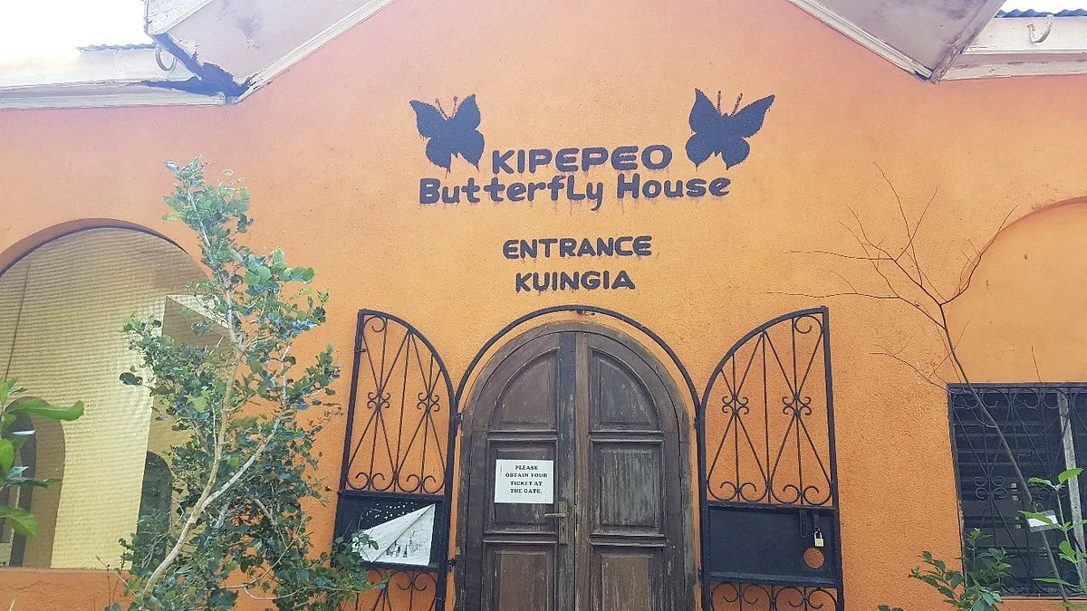 Kipepeo Butterfly House