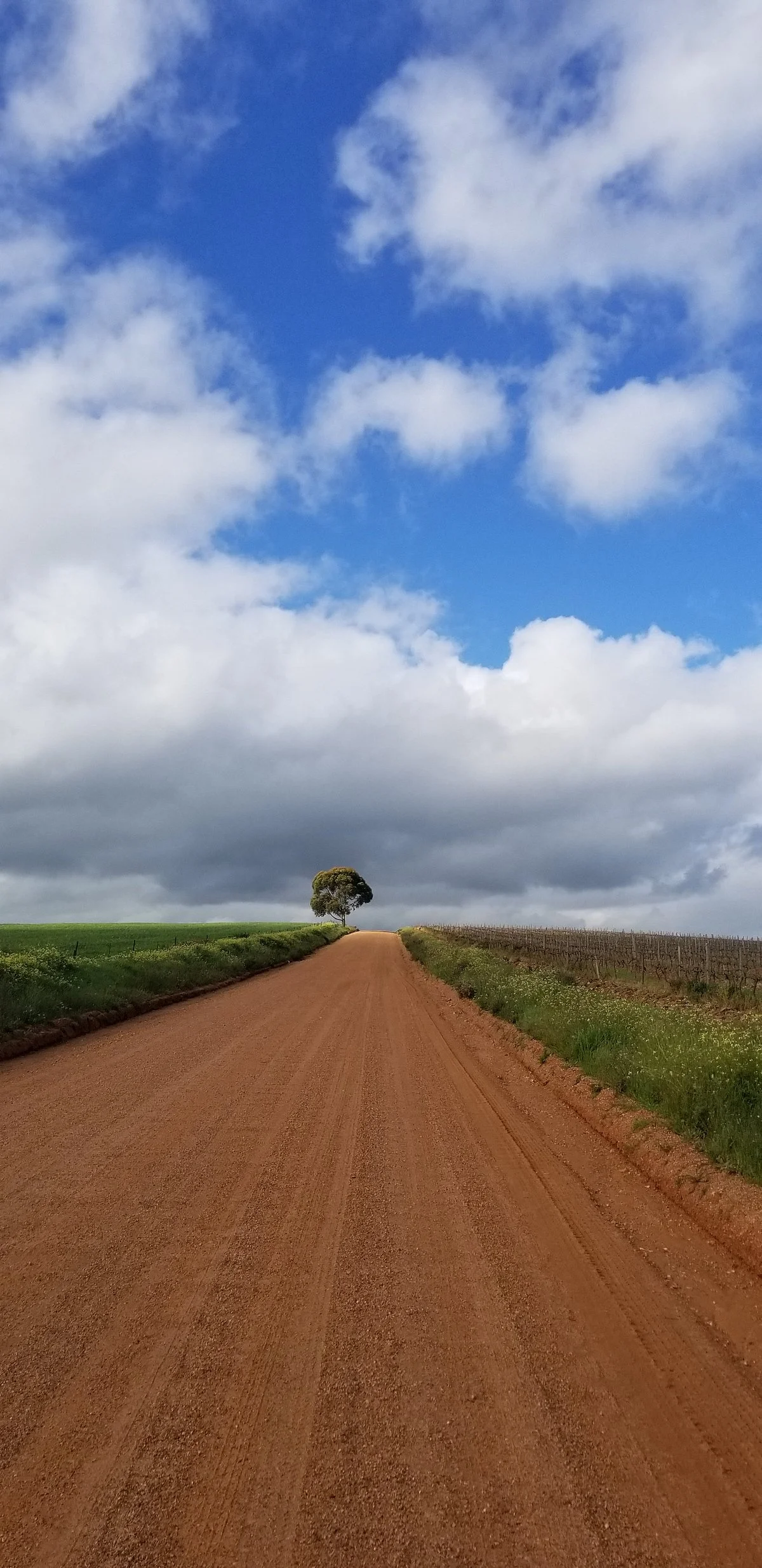 Riebeek Cellars