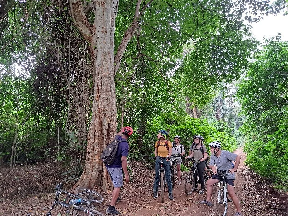Rau Eco & Cultural Tourism Enterprise