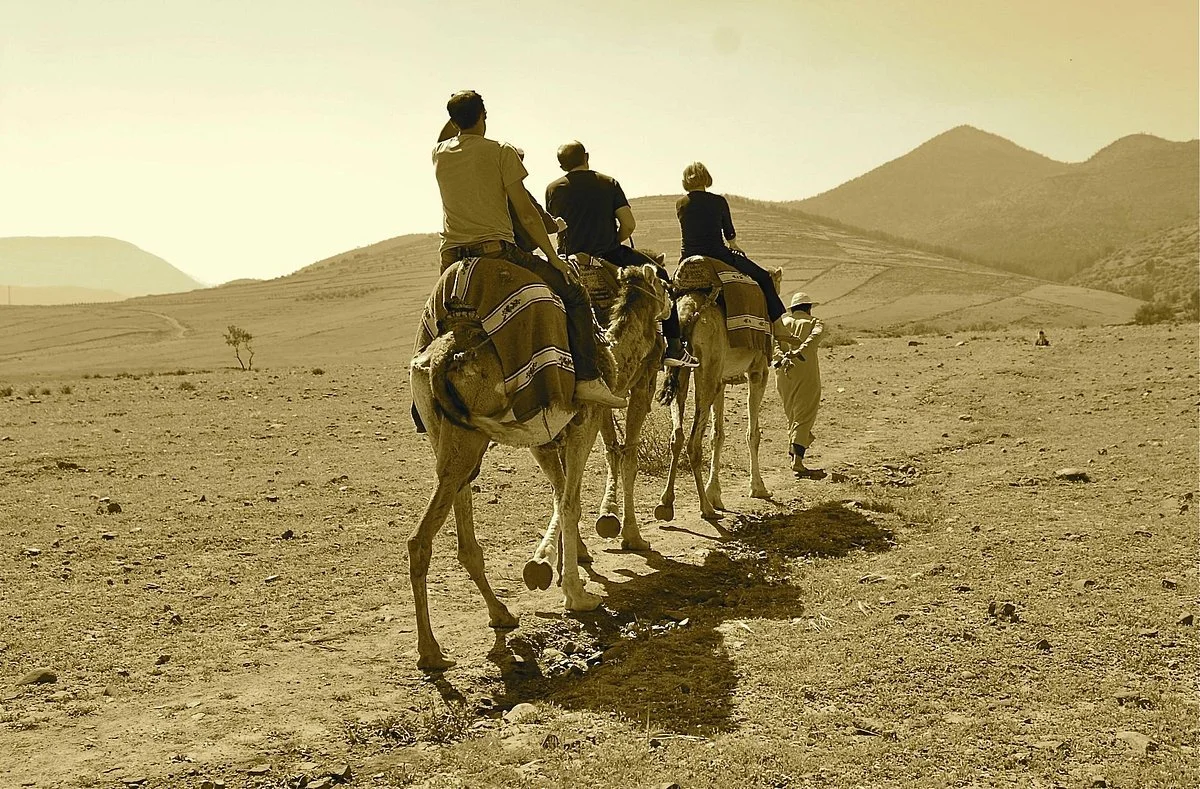 4X4 Camel - Private Day Tours