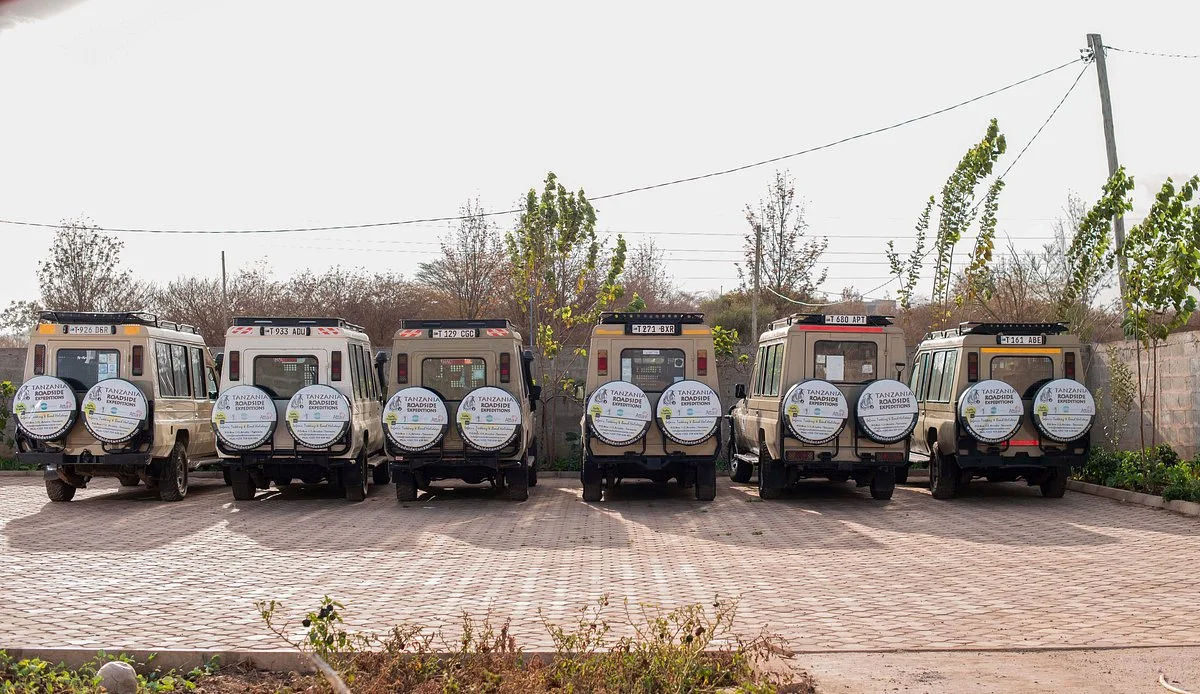 Tanzania Roadside Expeditions