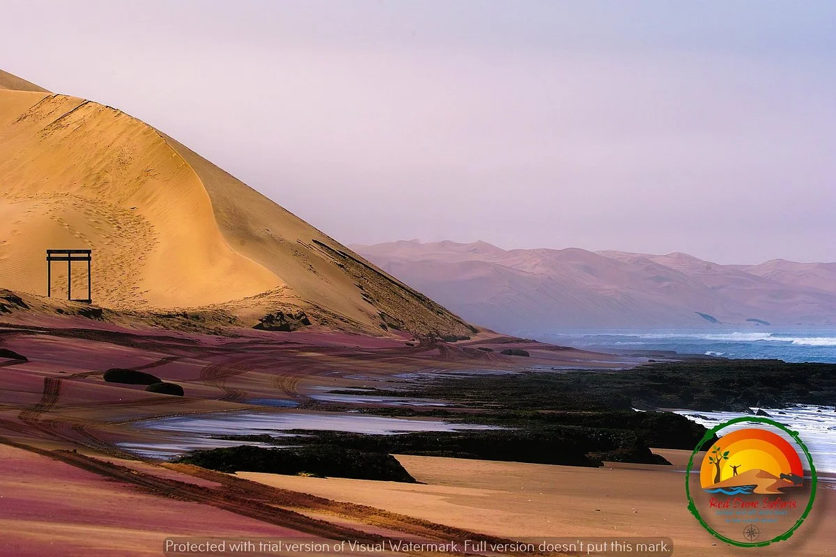 Red Dune Safaris
