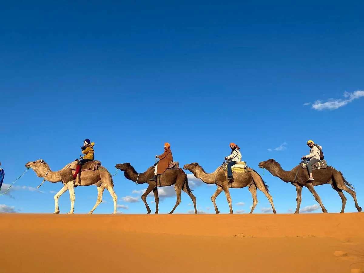 Travel To Discover Morocco