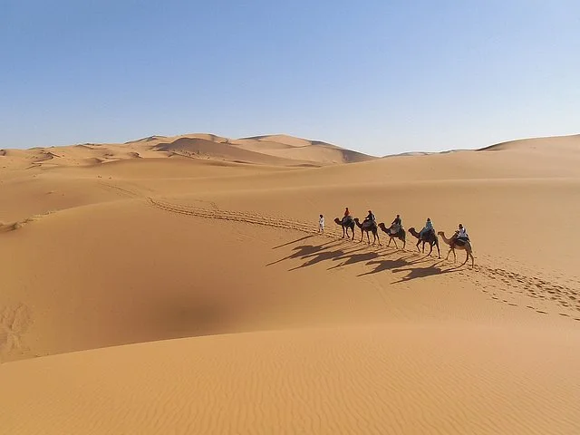 Desert Tours Marocco  Day Tours