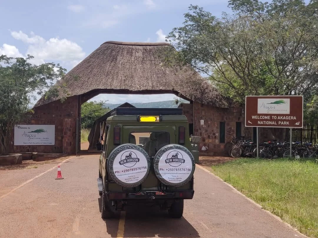 New Horizon Africa Safaris