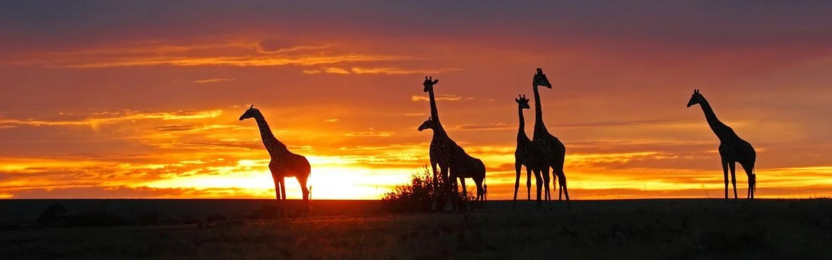 Escursioni in Kenya