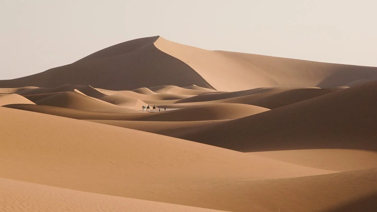 Adventures Desert