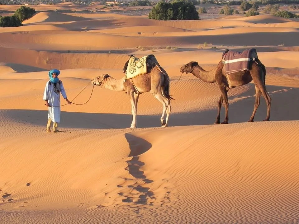 Marruecos Tours Desierto