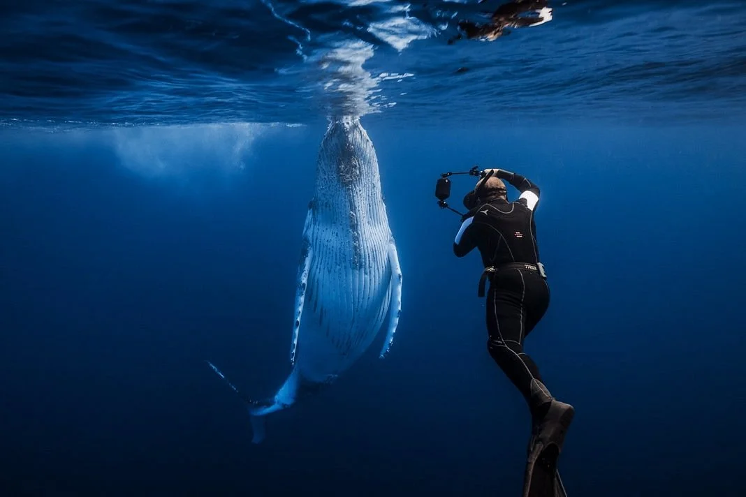 Reunion Diving
