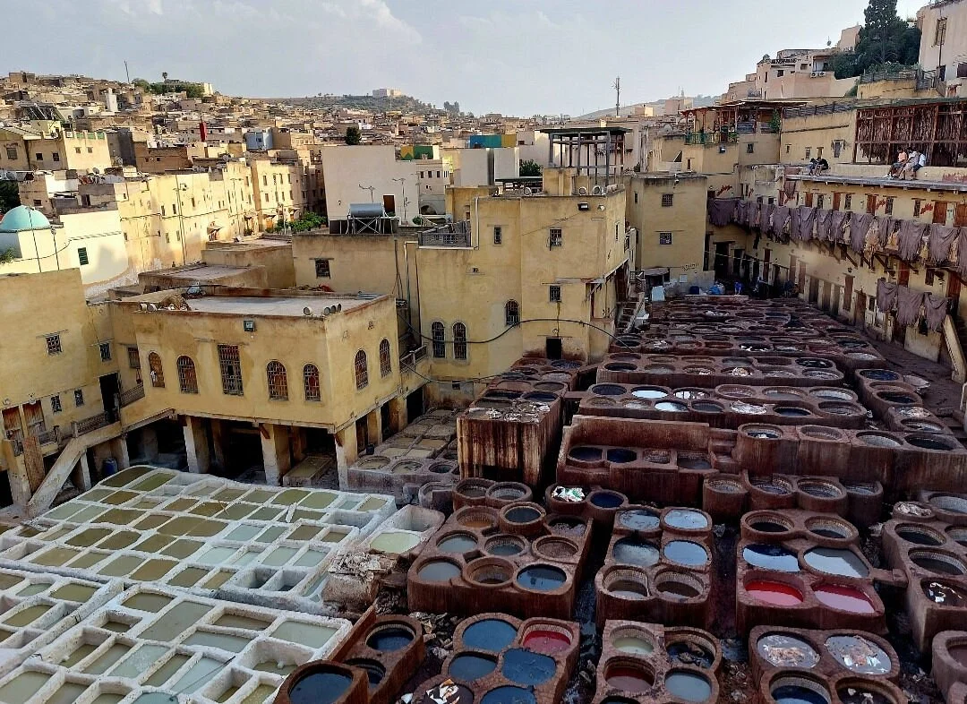 Andiamo In Marocco - Day Tours