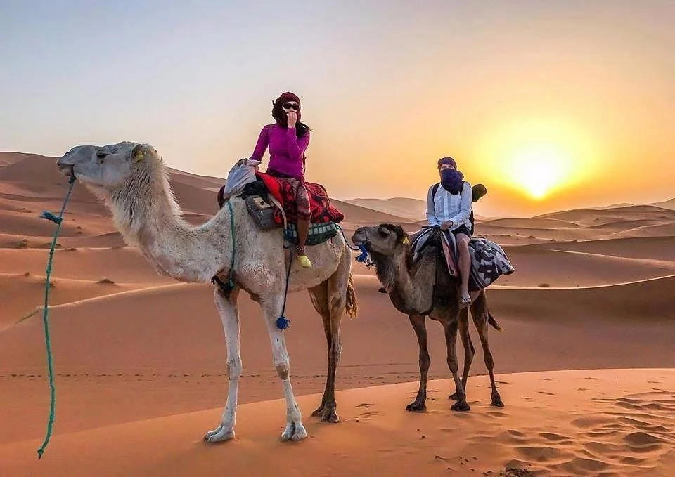 The Africa Journey
