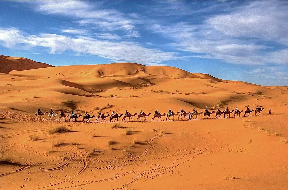 Original Morocco Tours