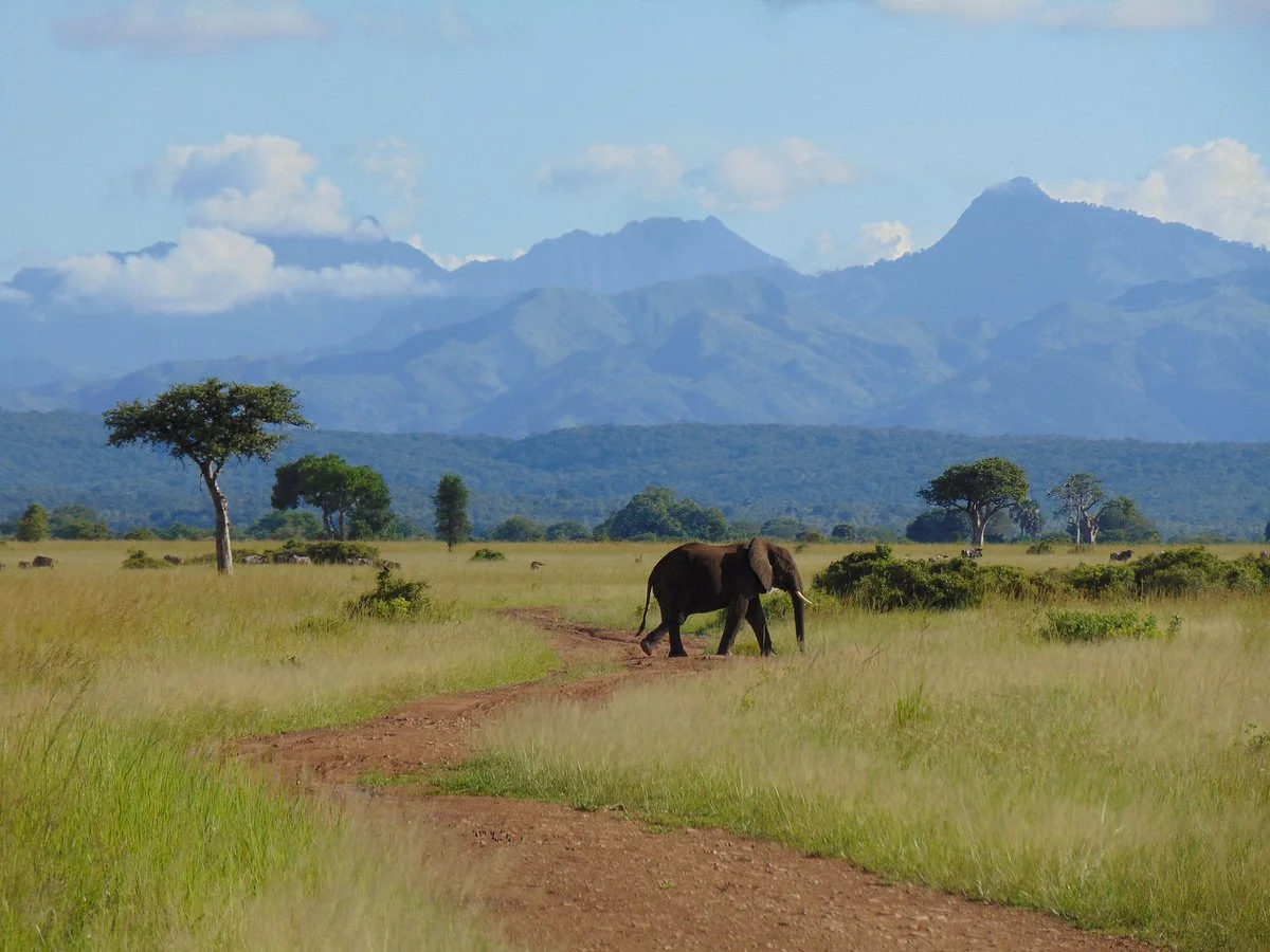TanzAmerica Safaris Ltd.
