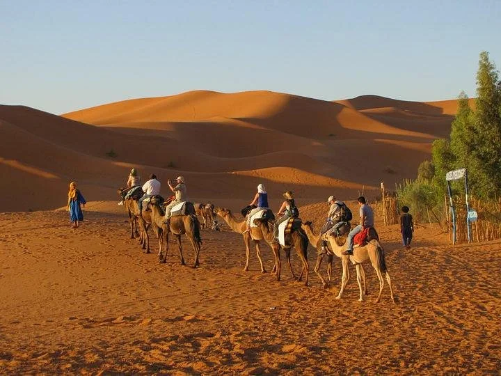 Morocco Travel Excursion