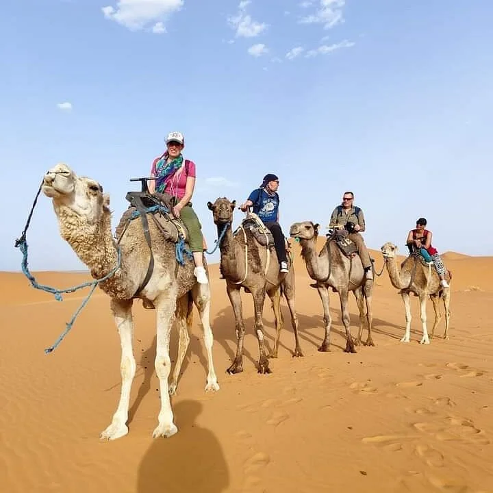 Camel Trip Morocco
