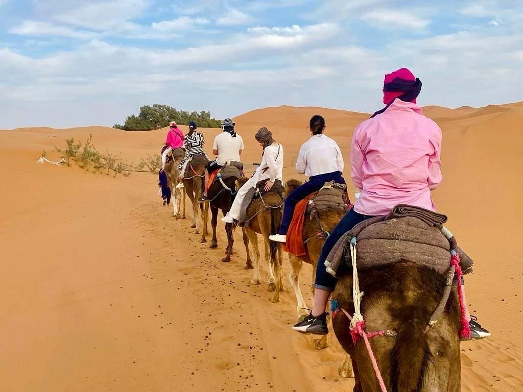Desert Family Tours