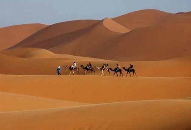Moroccan Desert Trips