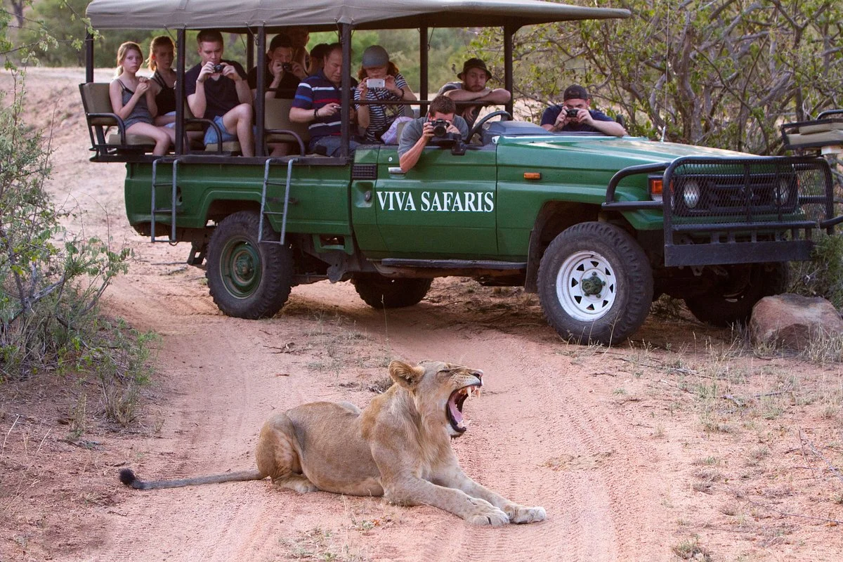 Viva Safaris