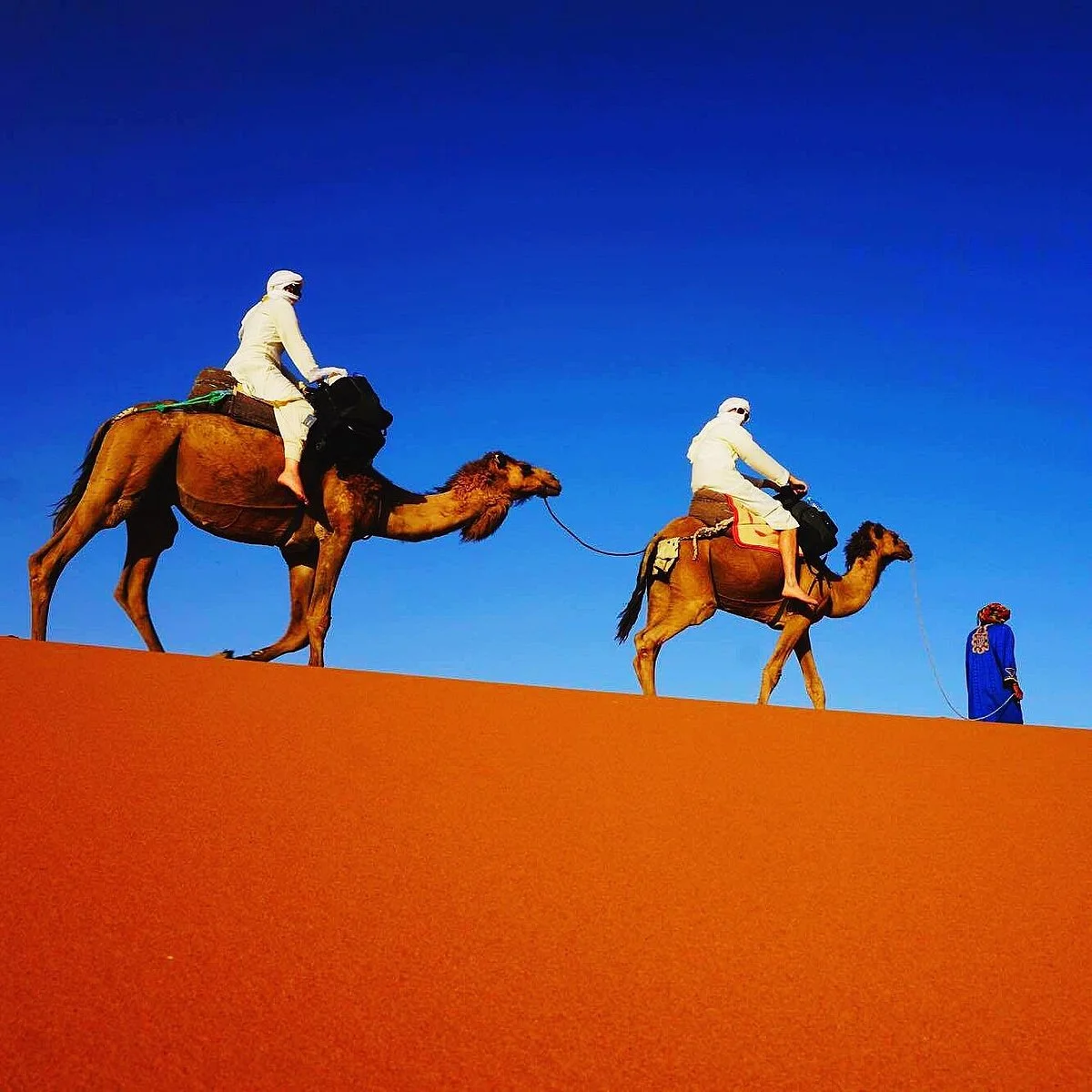 Marrakech Day Trips