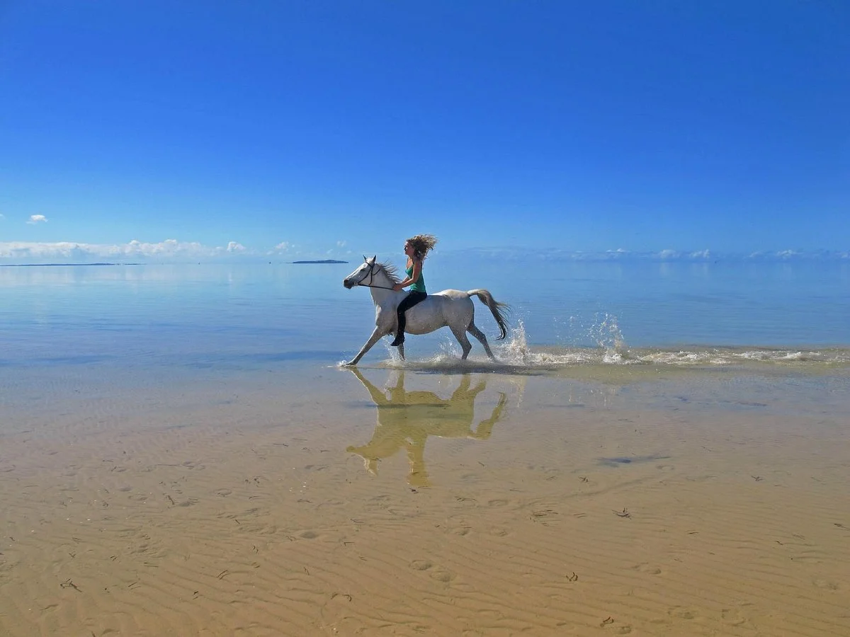 Mozambique Horse Safari