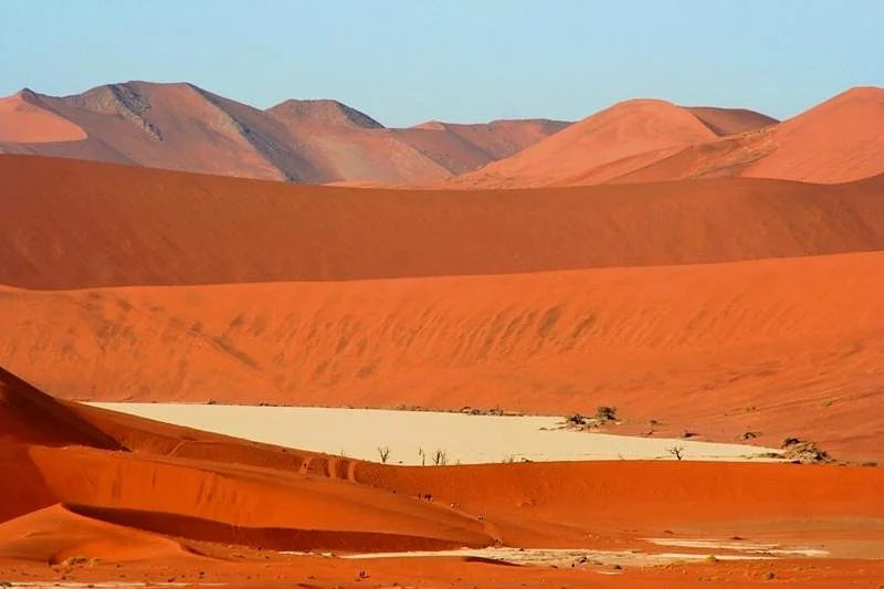 Wild Wind Safaris