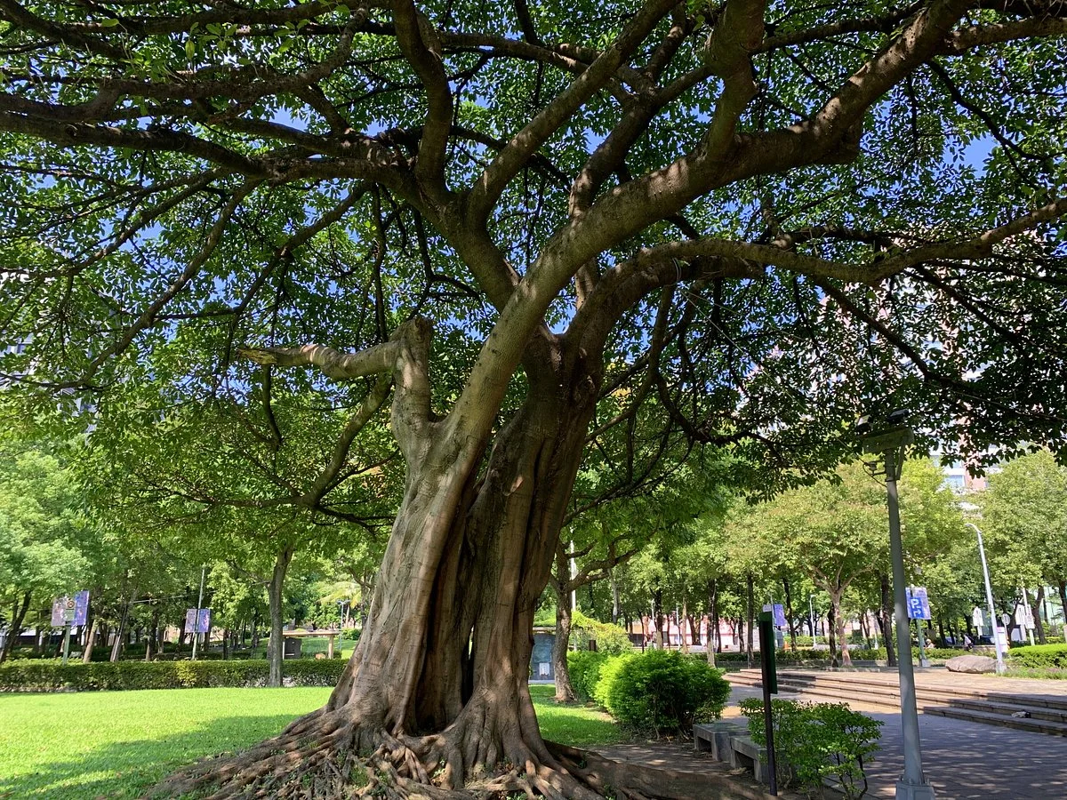 Linshen Park