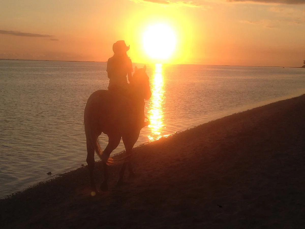 HORSE RIDING RIAMBEL- Centre Equestre De Riambel