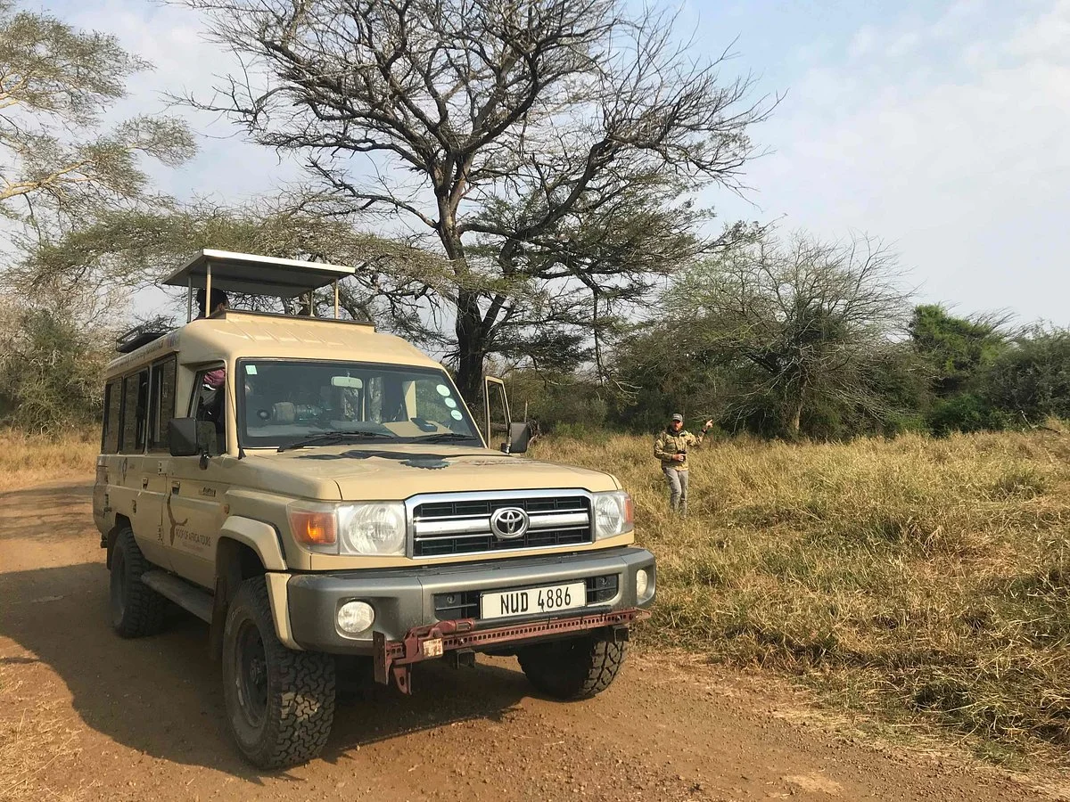 Roof of Africa Tours