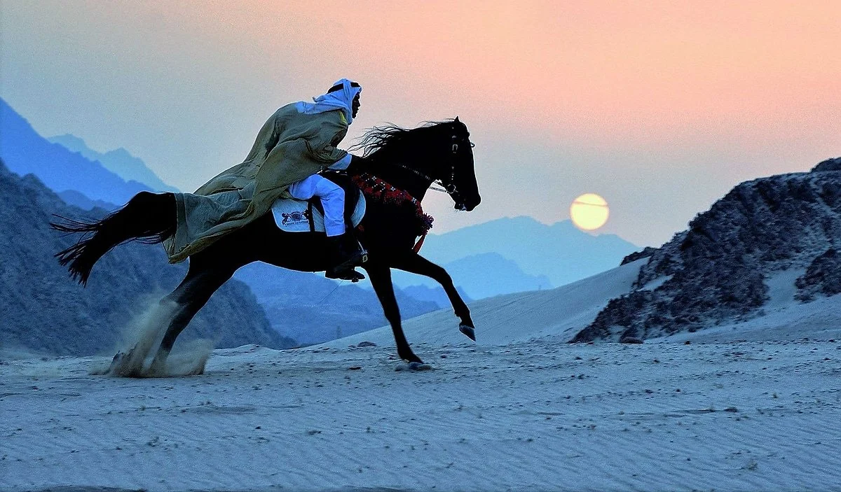 Ride Egypt