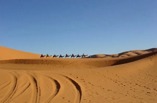Karim Transport