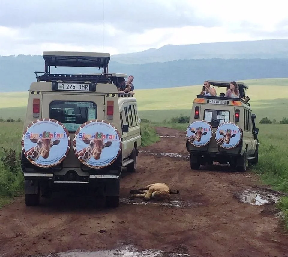 Sima Safari Limited