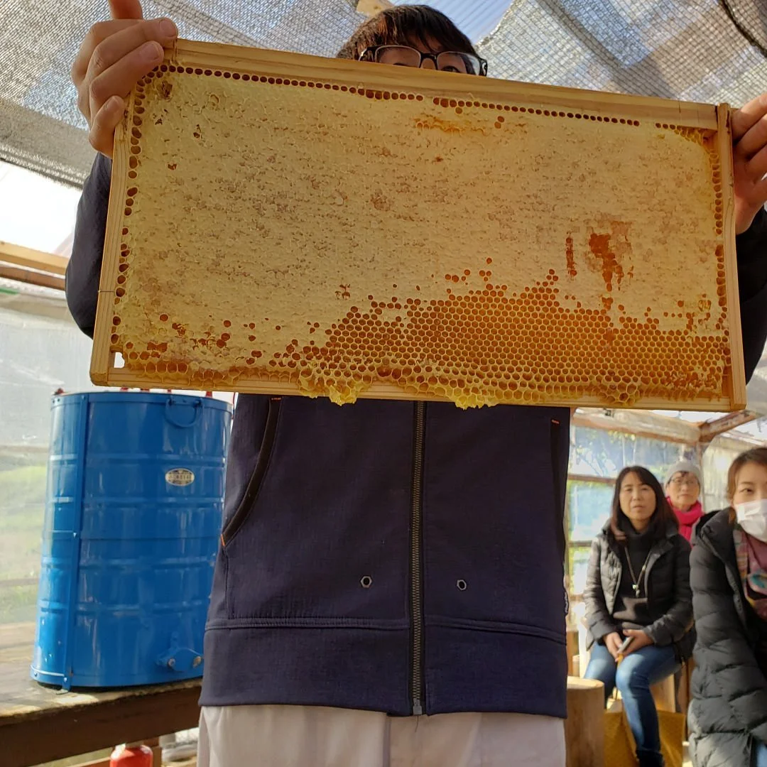 Hachimitsu Kobo