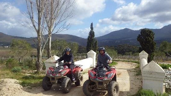 Hermanus Forest Adventures