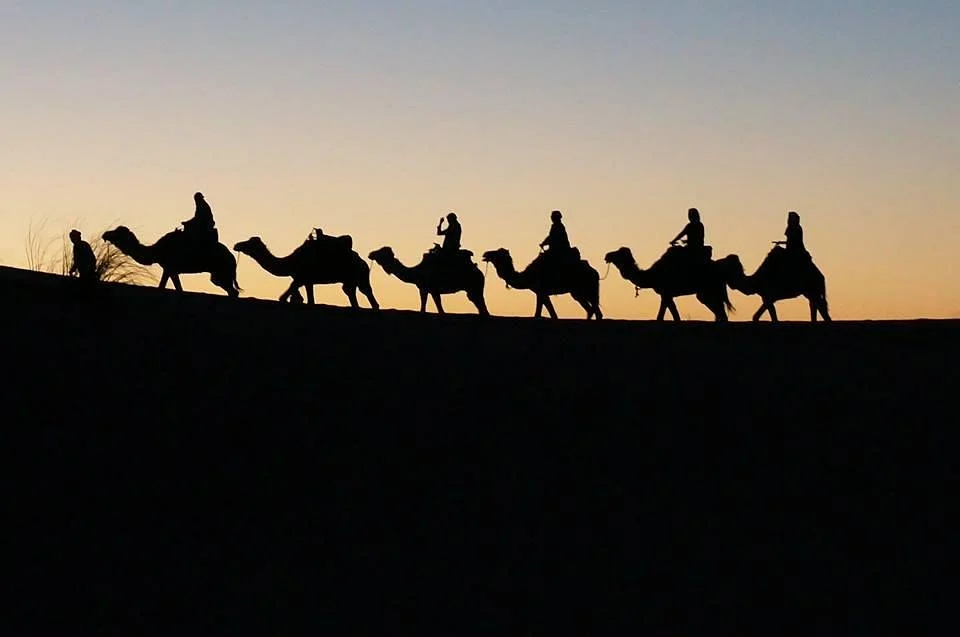 Tutti In Marocco
