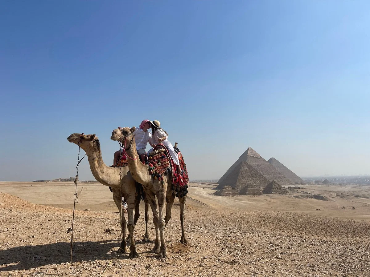 Aly of Egypt Tours