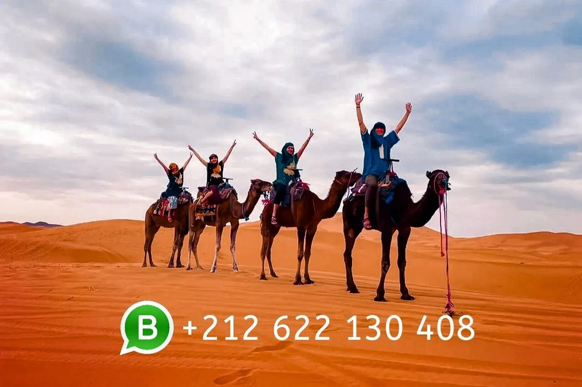 Camp Camel Trekking