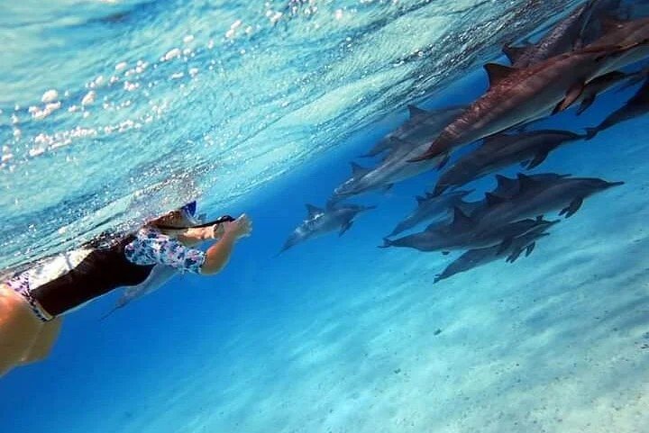 Marsa Waves Activites - Marsa alam