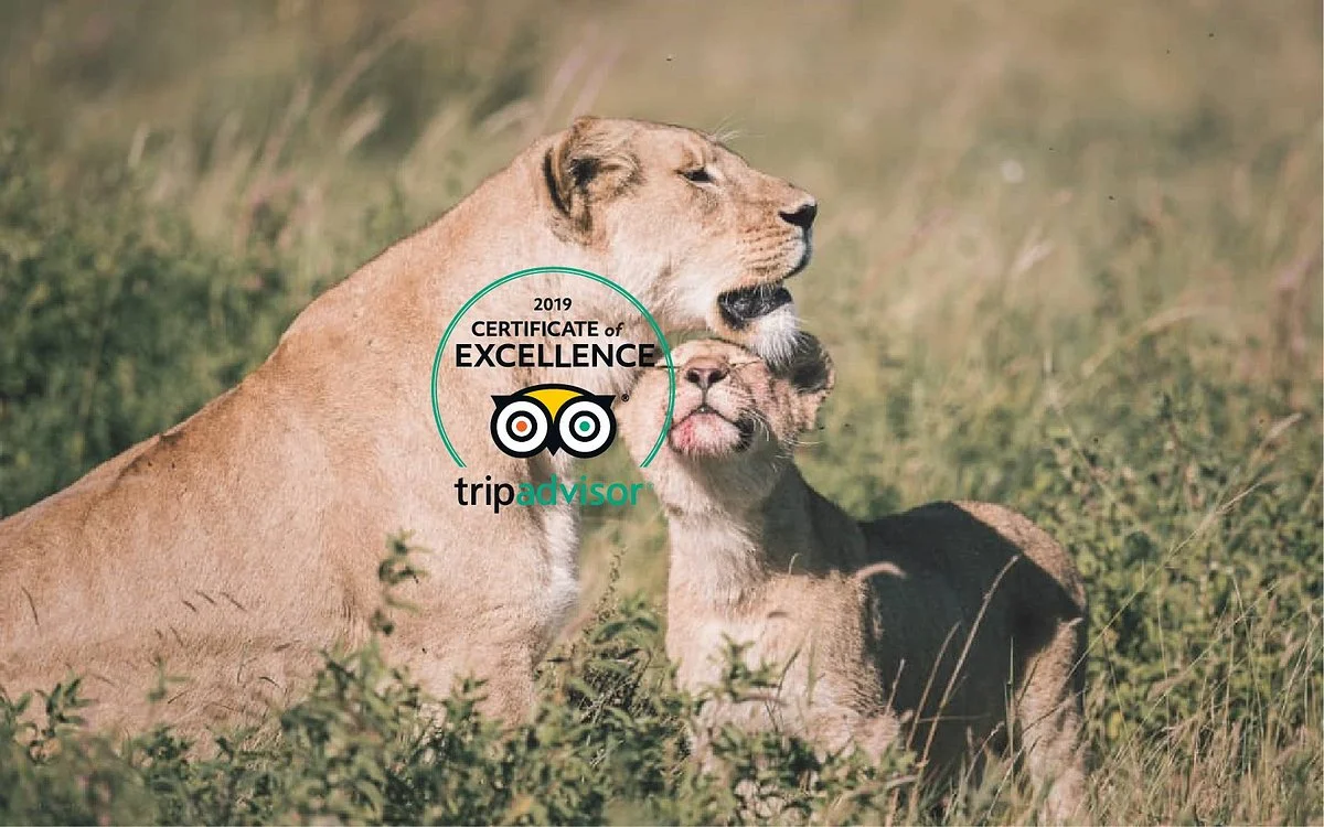Safari Bike Africa